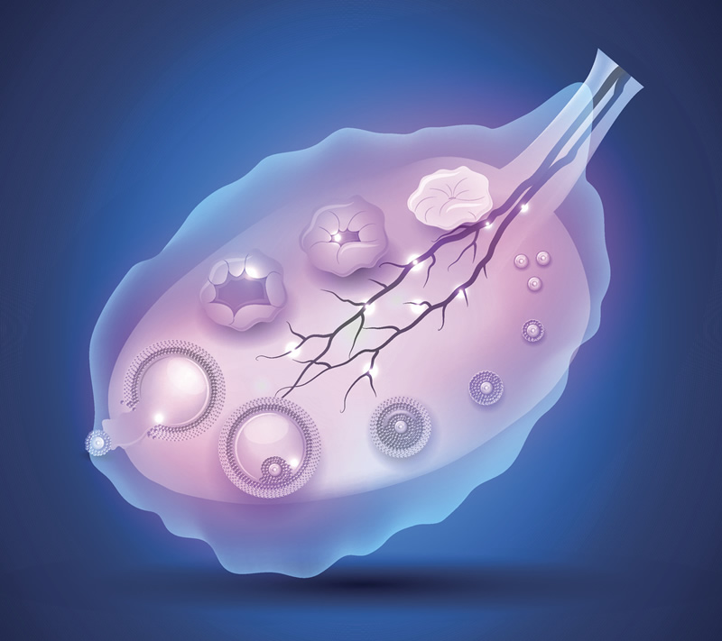 2026格鲁吉亚试管婴儿费用明细分享，看完就知道要花多少？